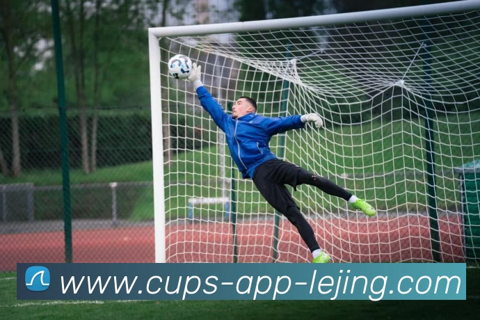 乐竞体育官网APP 体育赛事宣传图